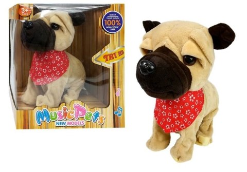 INTERAKTYWNY PIESEK SZCZEKA RUSZA OGONKIEM SENSORY