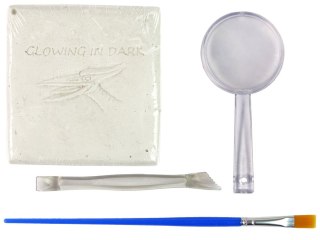 ZESTAW ARCHEOLOGICZNY WYKOPALISKA DINOZAUR SZKIELET PTERANODON