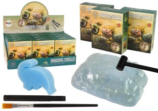 ZESTAW WYKOPALISKA SKORUPY MUSZLE TRZY MODELE NIESPODZIANKA