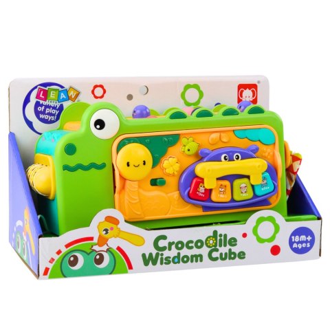 KROKODYL INTERAKTYWNY KOSTKA EDUKACYJNA WIELOFUNKCYJNA DŹWIĘKI