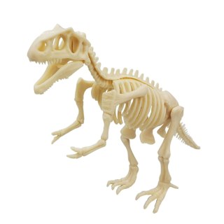 ZESTAW ARCHEOLOGICZNY WYKOPALISKA FLUORESCENCYJNY SZKIELET NARZĘDZIA