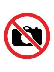 CREART DLA DZIECI: SOWA NOCĄ